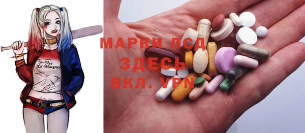 СК Вязьма