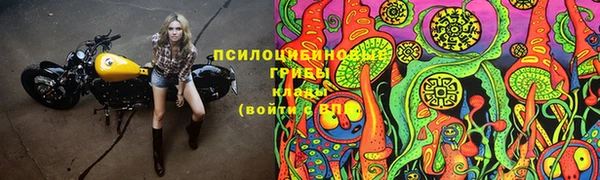СК Вязьма