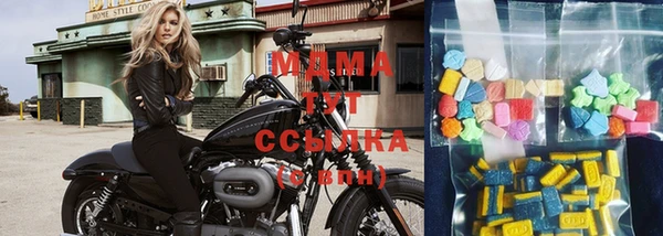 СК Вязьма