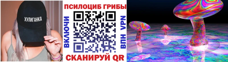 Псилоцибиновые грибы Psilocybine cubensis  Курск 